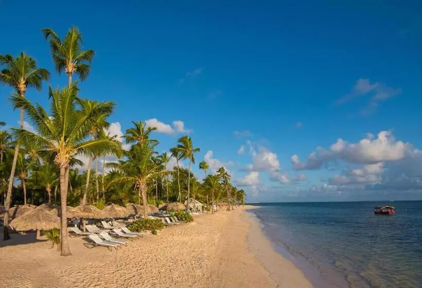 Hotelli Catalonia Royal Bavaro - All Inclusive - Adults Only