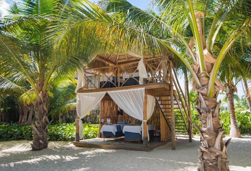 هتل Catalonia Royal Bavaro - All Inclusive - Adults Only