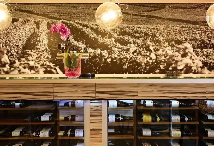 Hotel Ibis Europe Chalon Sur Saone