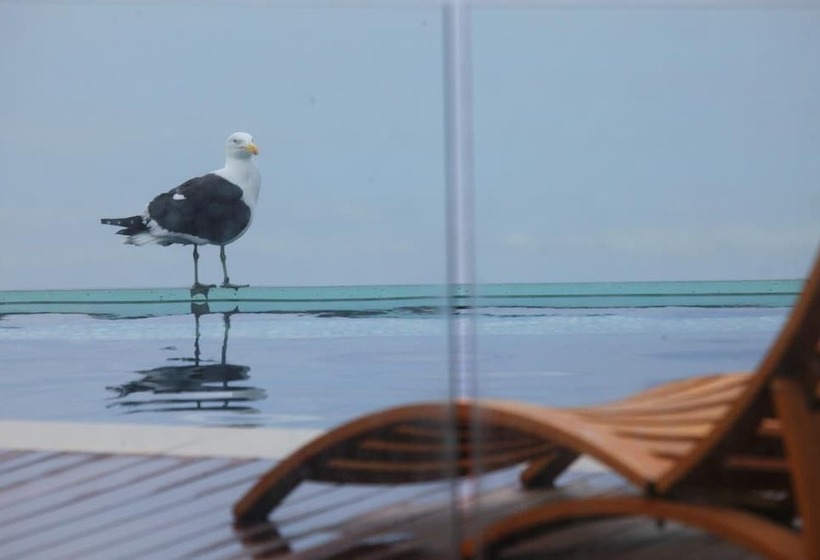 فندق Periwinkle Lodge Guest House