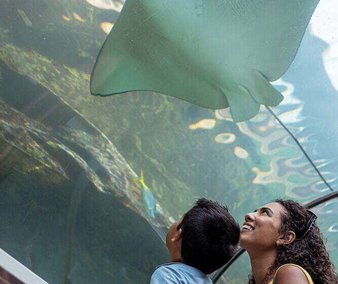 Novotel Sydney Darling Square