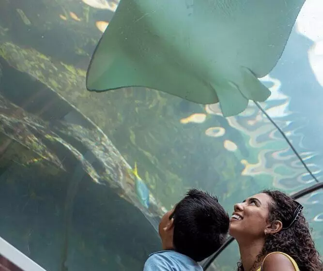 Novotel Sydney Darling Square