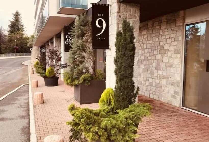 اقامتگاه The Catalogne