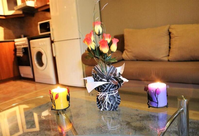 הוסטל Anva House