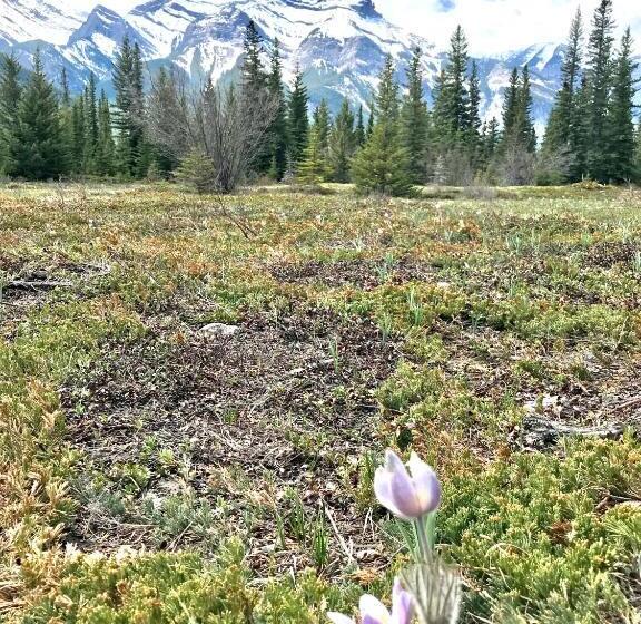 Fenwick Vacation Rentals Inviting Rocky Mountain Hot Tub In Top Rated Condo