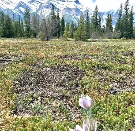 Fenwick Vacation Rentals Inviting Rocky Mountain Hot Tub In Top Rated Condo