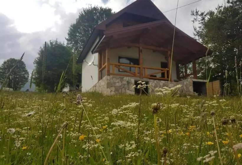 هتل Eco Village Highlander