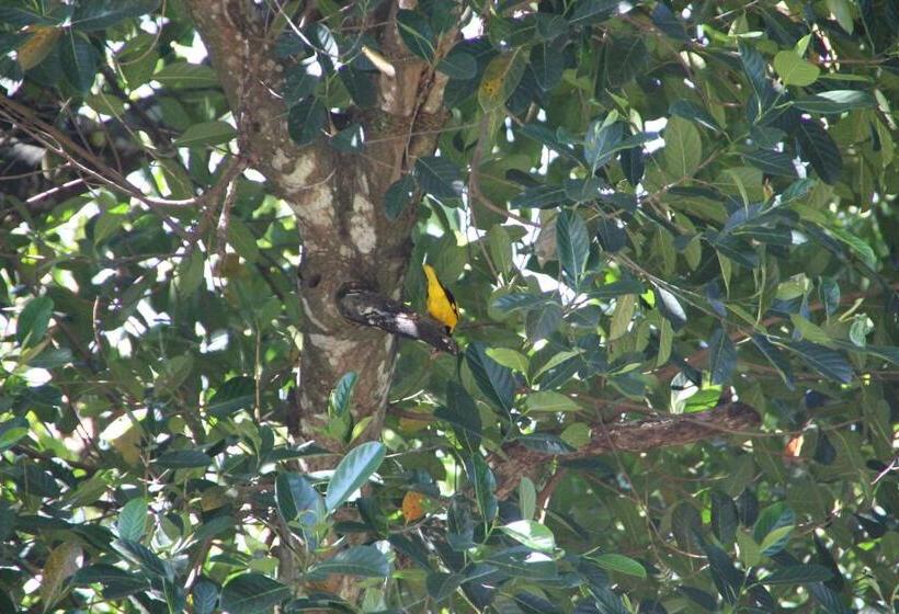 پانسیون Mahaweli Shades