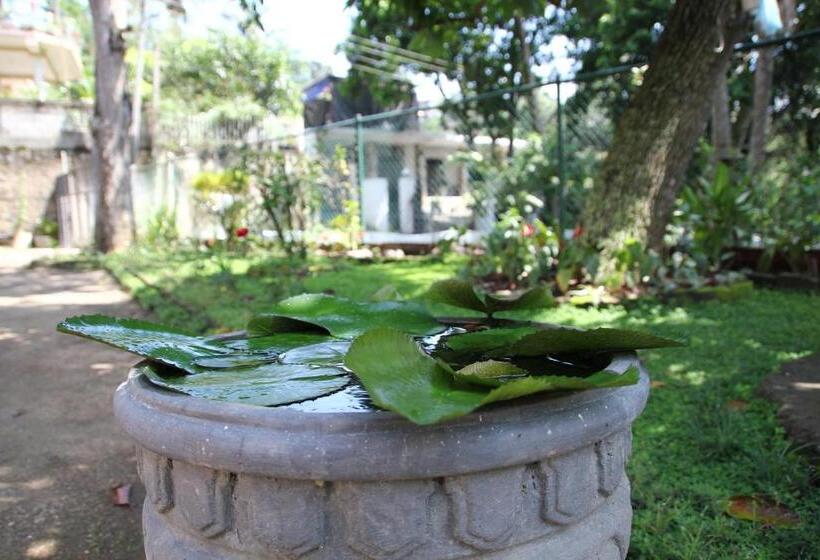 پانسیون Mahaweli Shades