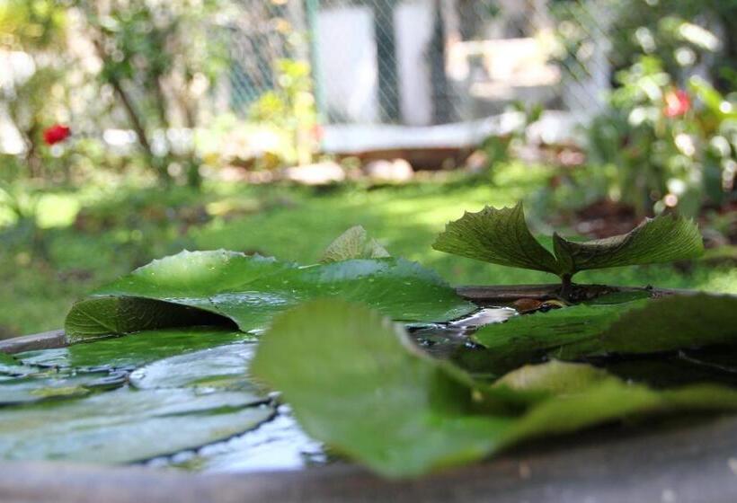 پانسیون Mahaweli Shades