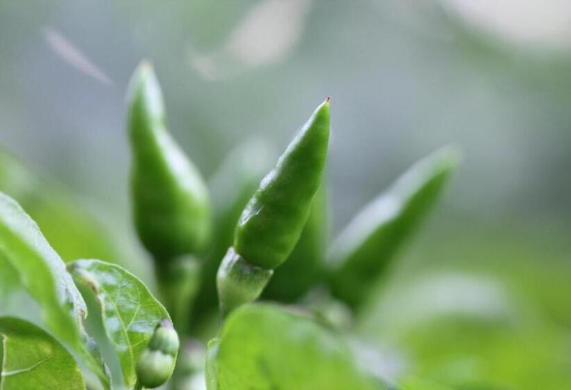 پانسیون Mahaweli Shades