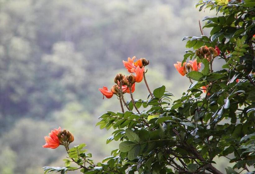 پانسیون Mahaweli Shades
