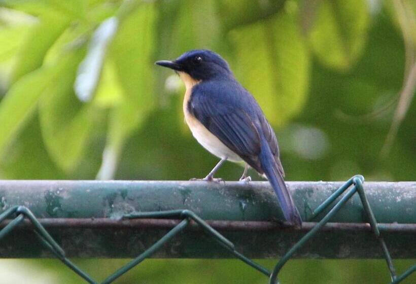 پانسیون Mahaweli Shades