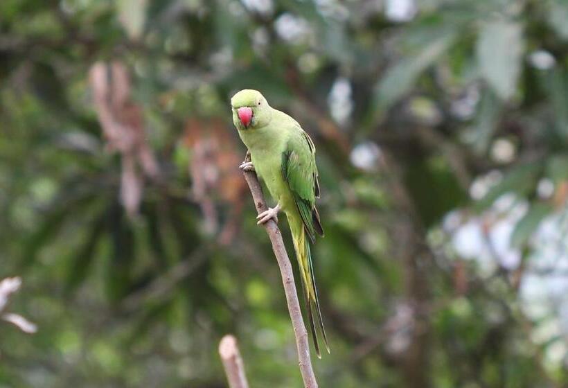 پانسیون Mahaweli Shades