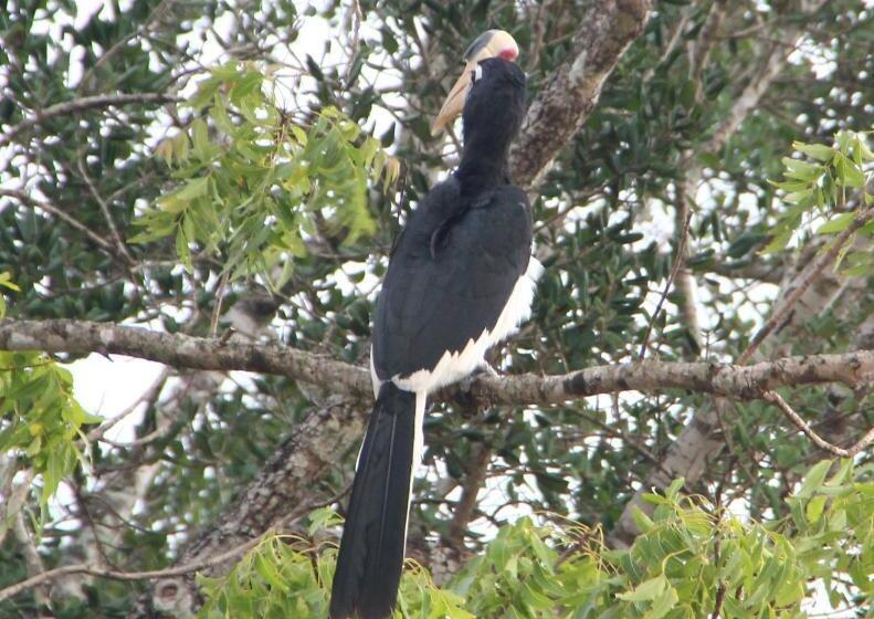 پانسیون Mahaweli Shades