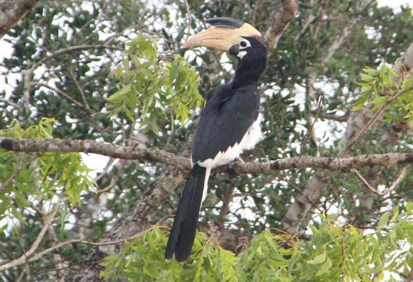 پانسیون Mahaweli Shades
