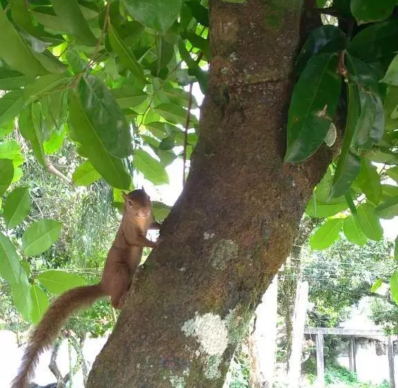 Majatalo Pousada Recanto Itaguá