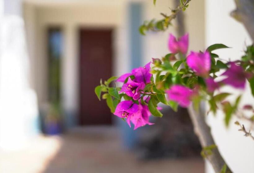 Пансион Quinta Do Rosal