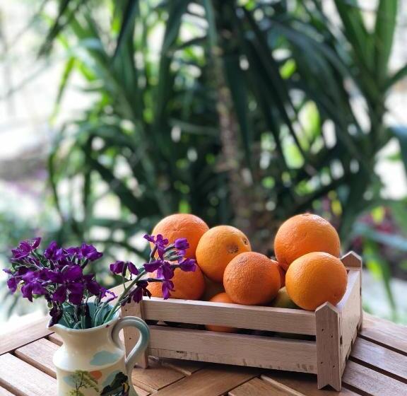 ペンション Tzavelitiko Home