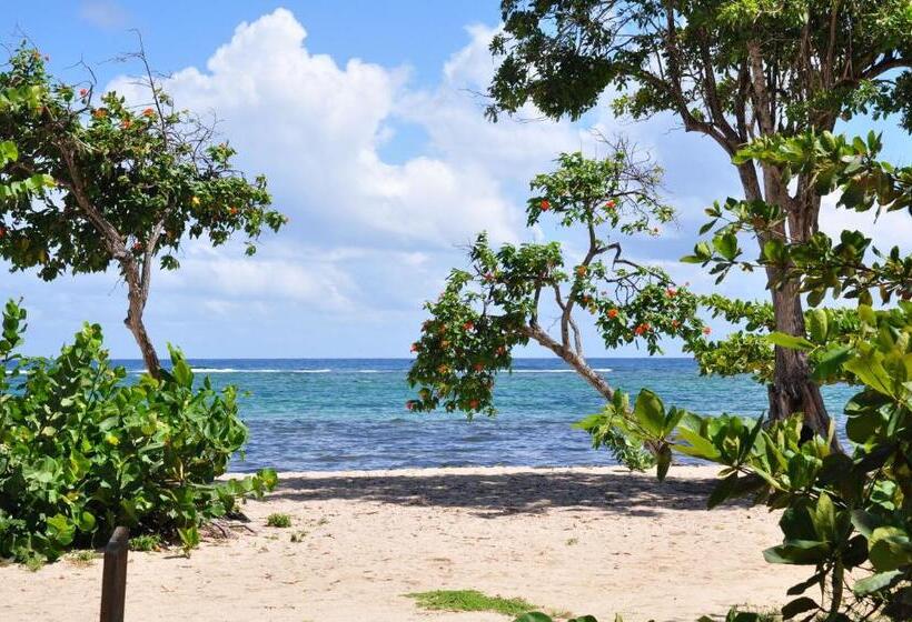 Résidence Tropicale