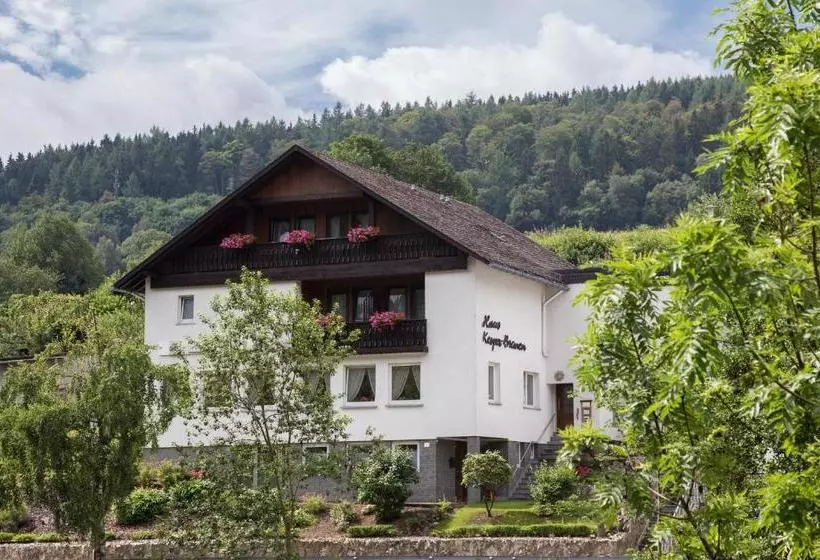 ペンション Haus Kesper-brünen