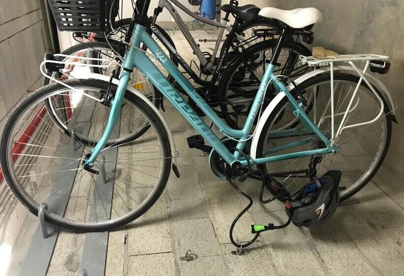 Apartamentos Royal Life