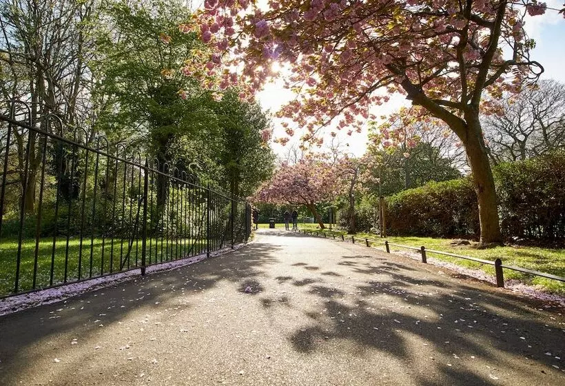 בית מלון כפרי Jackson Court