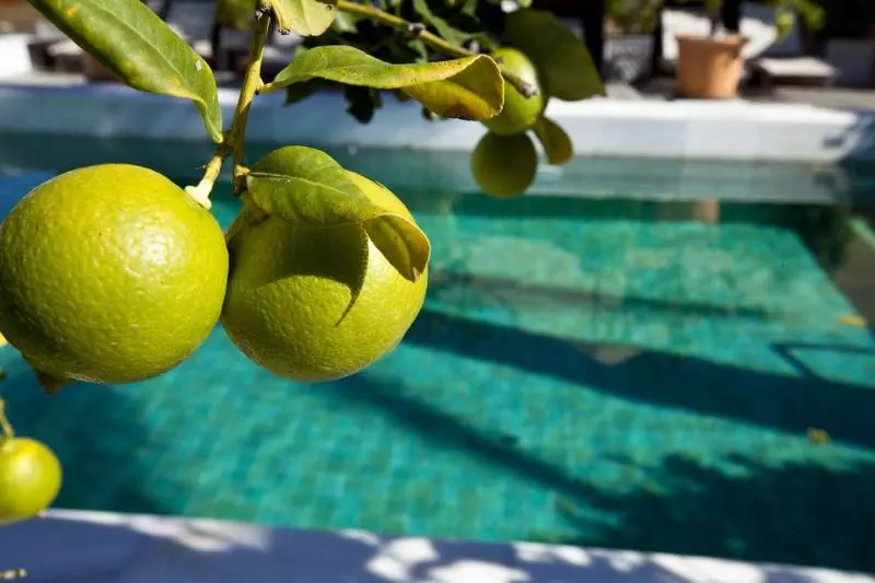 酒店 Rio Real Golf &