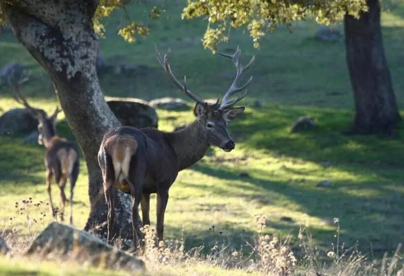 Отель Sierra De Andujar