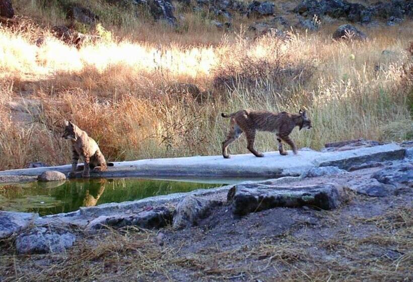 בית מלון כפרי Sierra De Andujar