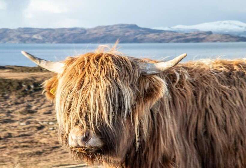 ペンション Balconie House