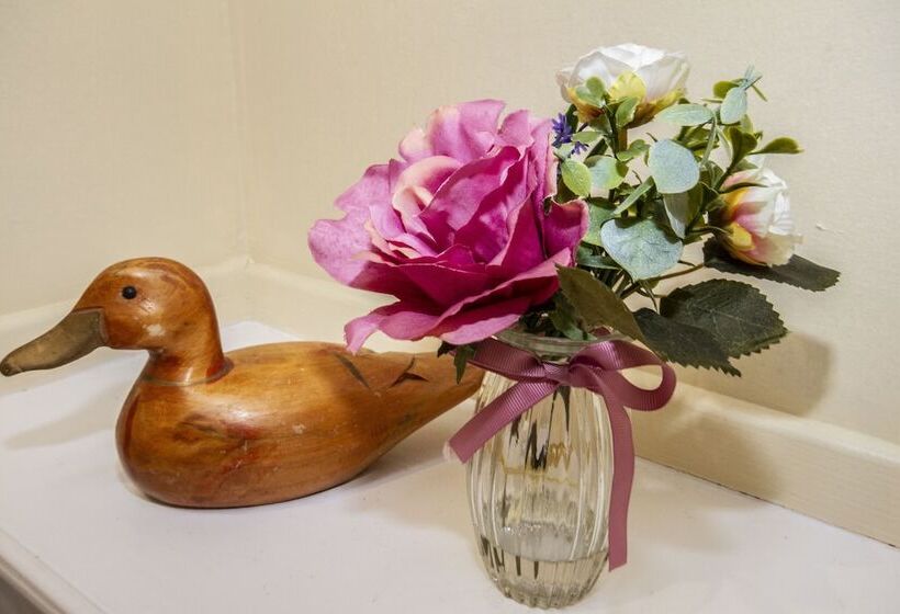 ペンション Balconie House