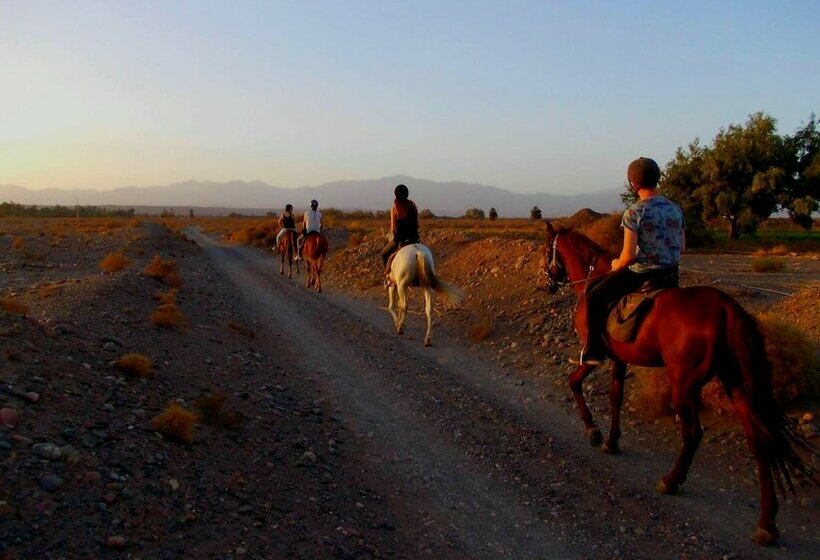 酒店 Aramja Luxury Camp