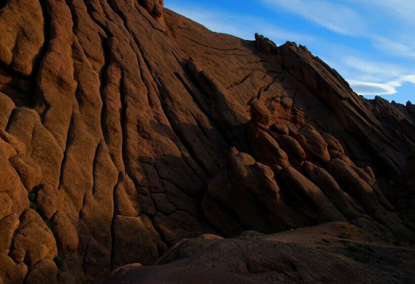 酒店 Aramja Luxury Camp