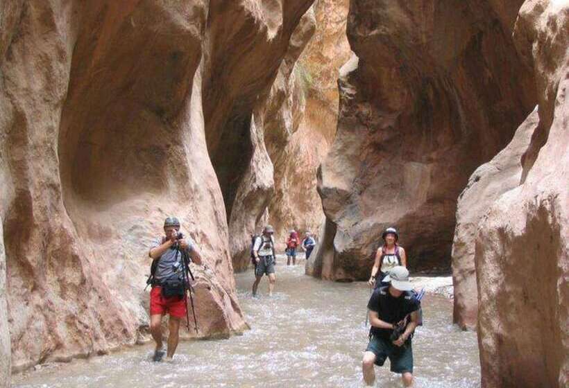 酒店 Aramja Luxury Camp