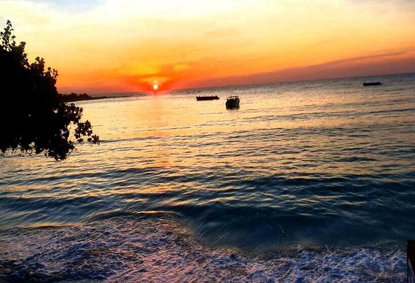 בית מלון כפרי Tompizza Resort