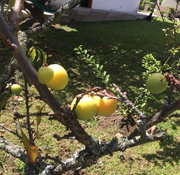 בית מלון כפרי Tababela Airport B&b