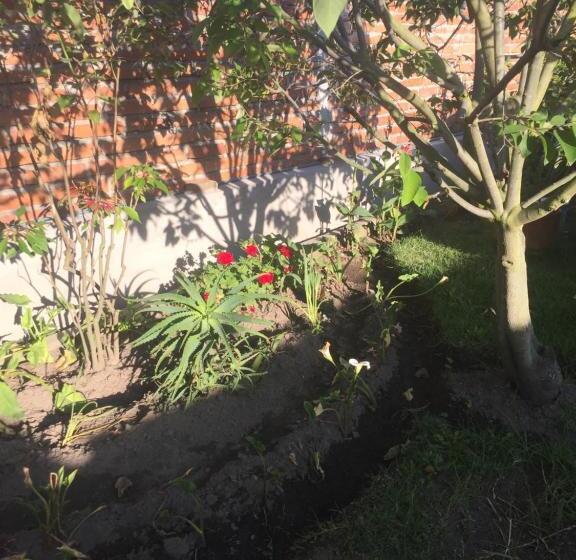 בית מלון כפרי Tababela Airport B&b