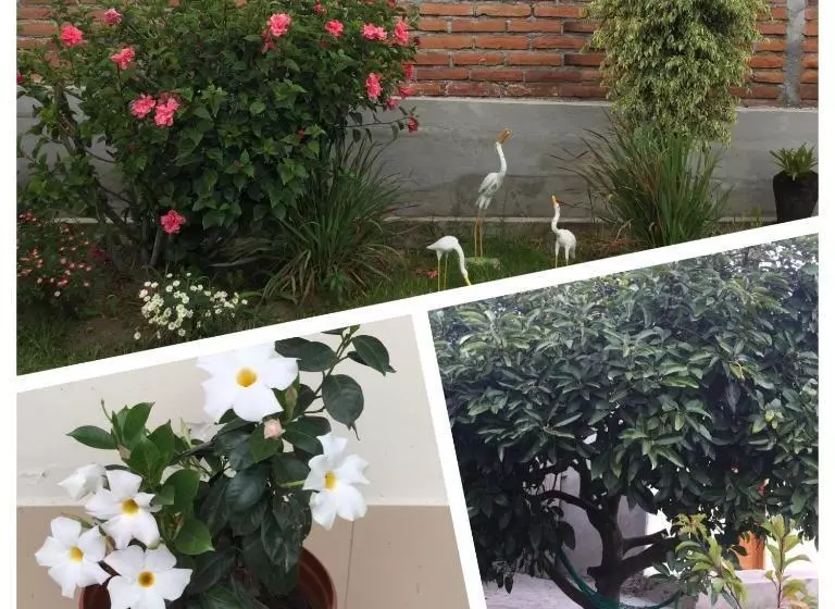 هتل Tababela Airport B&b