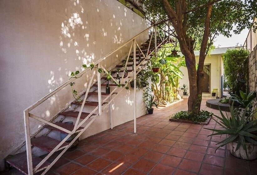 Пансион Antique Casa De Huespedes Barrio Antiguo