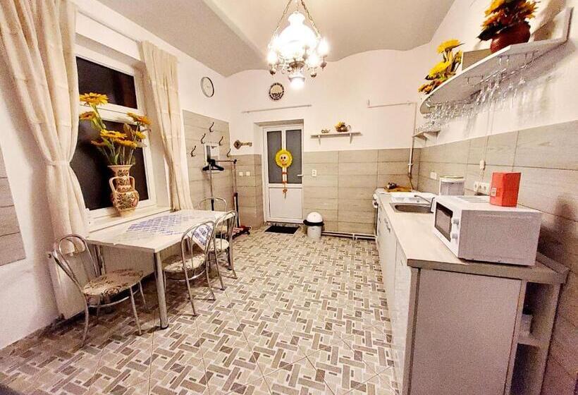 پانسیون Sissy Vendégház