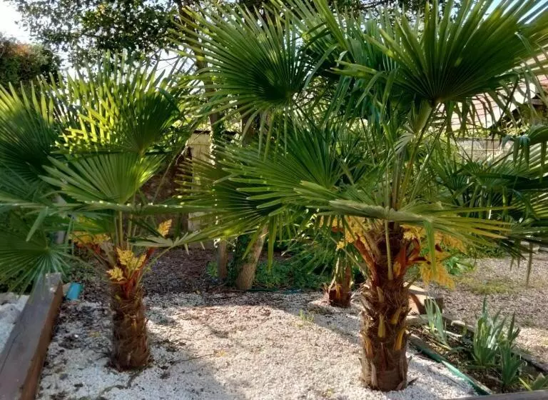 Aamiaismajoitus (B&B) Le Jack