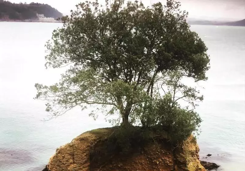 Aamiaismajoitus (B&B) Westcroft Guesthouse