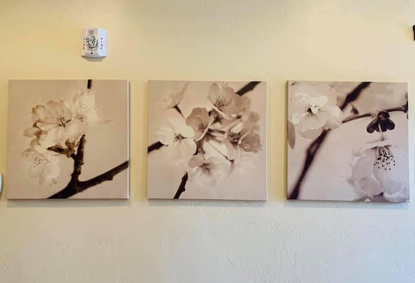 فندق Cb&m Executive Suites