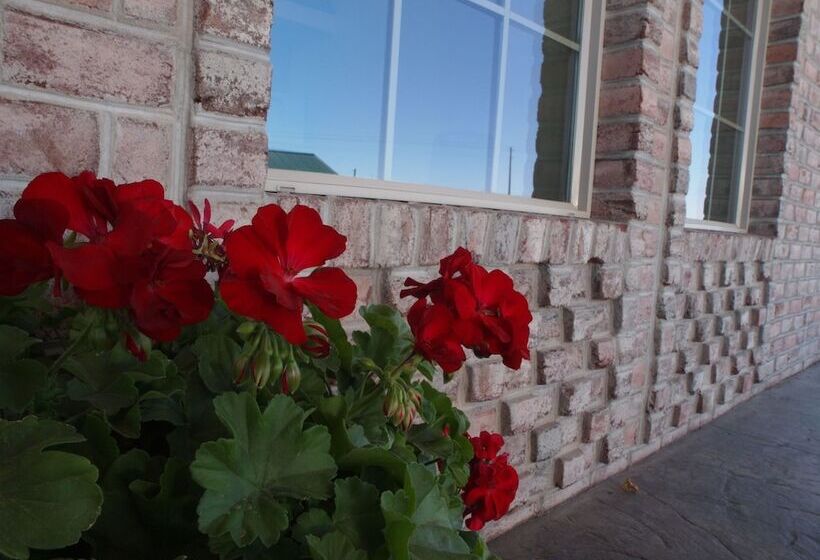 فندق Cb&m Executive Suites