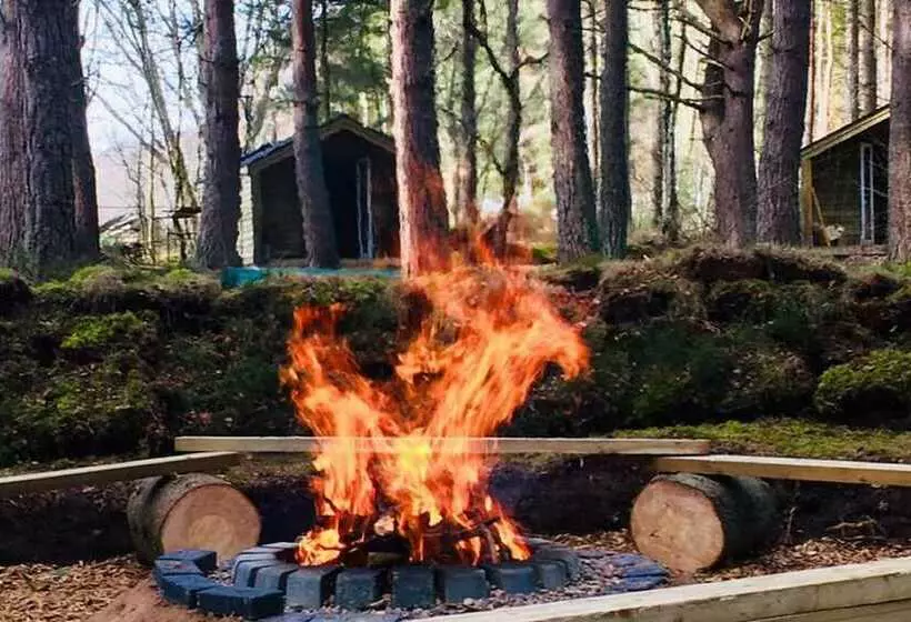 Hotelli Wildwoodz Cabins