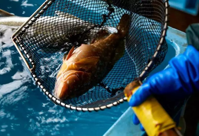 ベッドアンドブレックファースト Cafe & Bb Guri