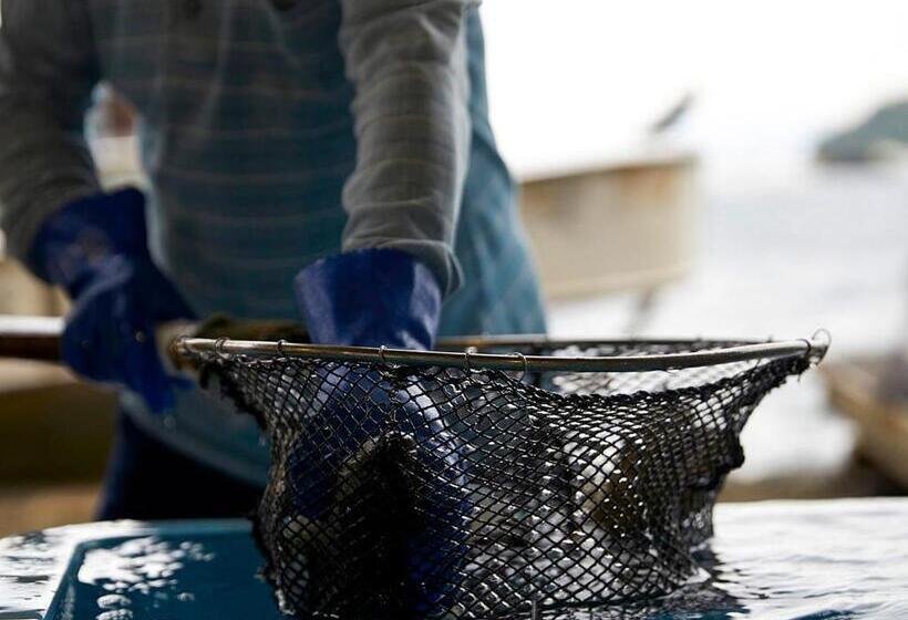 צימר Cafe & Bb Guri