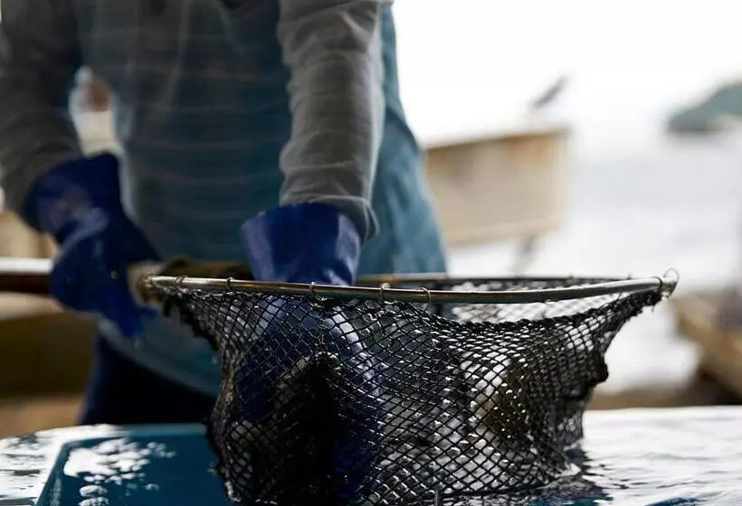 ベッドアンドブレックファースト Cafe & Bb Guri