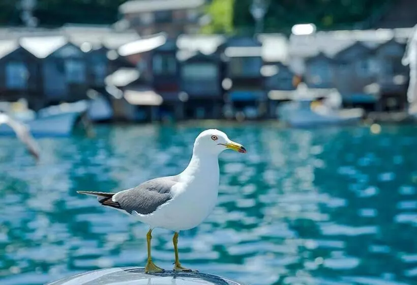 ベッドアンドブレックファースト Cafe & Bb Guri
